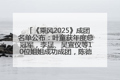《乘风2025》成团名单公布：叶童获年度总冠军，李晟、吴宣仪等10位姐姐成功成团，陈德容获年度高光人物