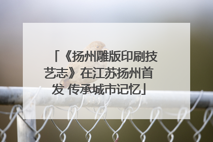 《扬州雕版印刷技艺志》在江苏扬州首发 传承城市记忆