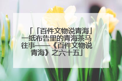 「百件文物说青海」一纸布告里的青海茶马往事——《百件文物说青海》之六十五