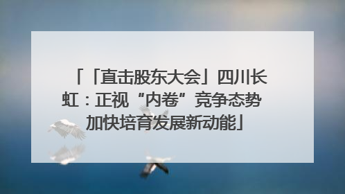 「直击股东大会」四川长虹：正视“内卷”竞争态势 加快培育发展新动能