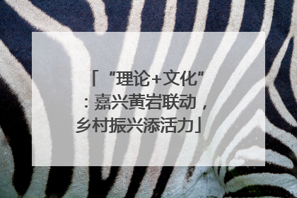 “理论+文化”：嘉兴黄岩联动，乡村振兴添活力