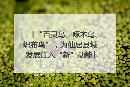 “百灵鸟、啄木鸟、织布鸟”，为仙居县域发展注入“新”动能