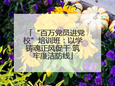 “百万党员进党校”培训班：以学铸魂正风促干 筑牢廉洁防线