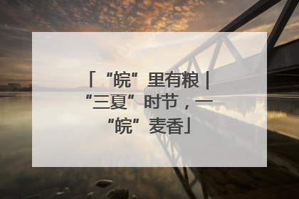 “皖”里有粮｜“三夏”时节，一“皖”麦香