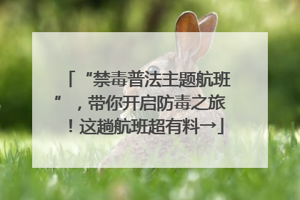 “禁毒普法主题航班”，带你开启防毒之旅！这趟航班超有料→