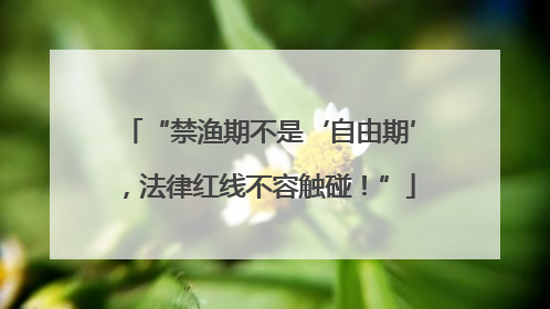 “禁渔期不是‘自由期’，法律红线不容触碰！”