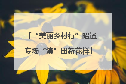“美丽乡村行”昭通专场“演”出新花样