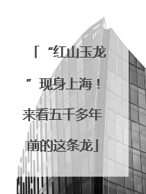 “红山玉龙”现身上海！来看五千多年前的这条龙