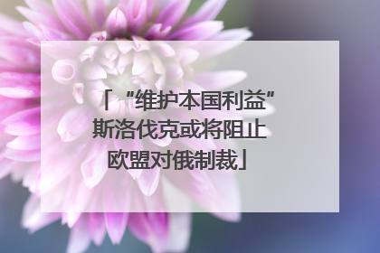“维护本国利益” 斯洛伐克或将阻止欧盟对俄制裁
