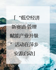 “低空经济新赛道·管理赋能产业升级”活动在萍乡安源启动