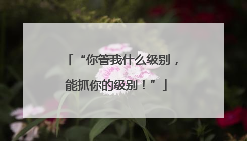 “你管我什么级别，能抓你的级别！”