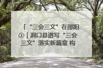 “三会三文”在邵阳③｜洞口县谱写“三会三文”落实新篇章 构建协同联动大格局