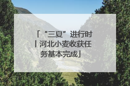 “三夏”进行时丨河北小麦收获任务基本完成