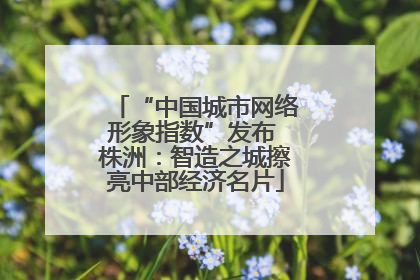 “中国城市网络形象指数”发布 株洲：智造之城擦亮中部经济名片