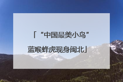 “中国最美小鸟”蓝喉蜂虎现身闽北