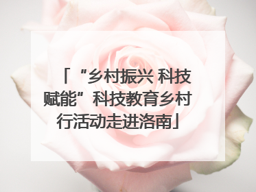 “乡村振兴 科技赋能”科技教育乡村行活动走进洛南