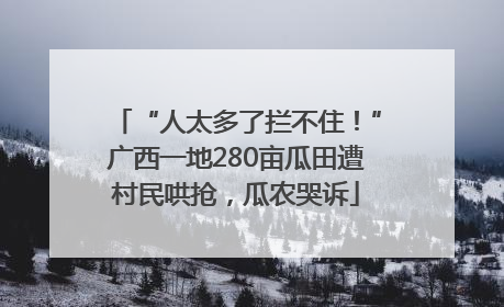 “人太多了拦不住！”广西一地280亩瓜田遭村民哄抢，瓜农哭诉
