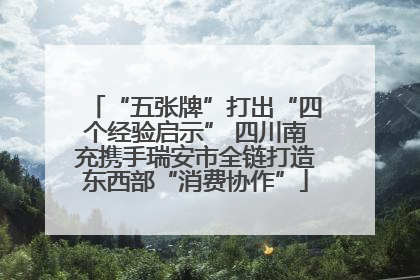 “五张牌”打出“四个经验启示” 四川南充携手瑞安市全链打造东西部“消费协作”