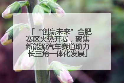 “创赢未来”合肥赛区火热开赛，聚焦新能源汽车赛道助力长三角一体化发展