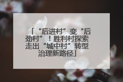 “后进村”变“后劲村”！胜利村探索走出“城中村”转型治理新路径