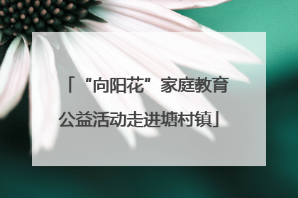 “向阳花”家庭教育公益活动走进塘村镇
