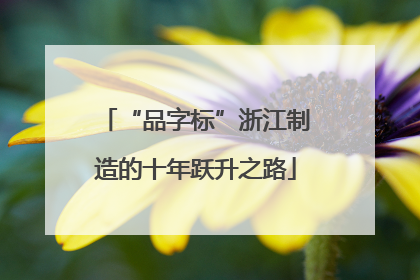 “品字标”浙江制造的十年跃升之路