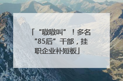 “嗷嗷叫”！多名“85后”干部，挂职企业补短板