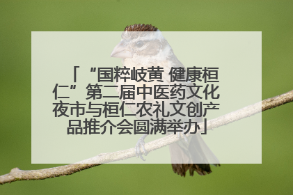 “国粹岐黄 健康桓仁”第二届中医药文化夜市与桓仁农礼文创产品推介会圆满举办
