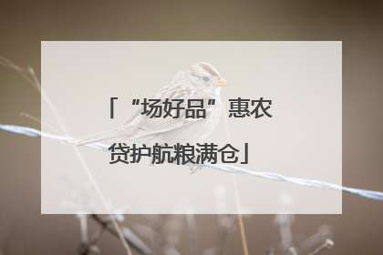 “场好品”惠农贷护航粮满仓
