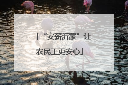 “安薪沂蒙”让农民工更安心