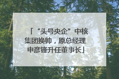“头号央企”中核集团换帅，原总经理申彦锋升任董事长