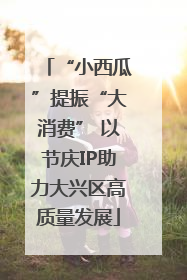 “小西瓜”提振“大消费” 以节庆IP助力大兴区高质量发展