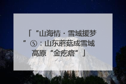 “山海情・雪域援梦”⑤：山东蘑菇成雪域高原“金疙瘩”