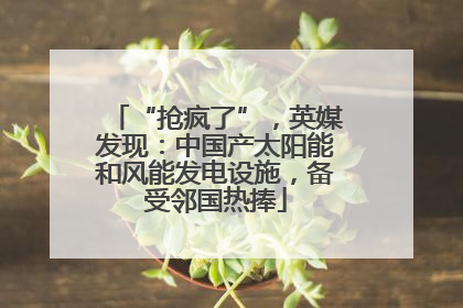 “抢疯了”，英媒发现：中国产太阳能和风能发电设施，备受邻国热捧