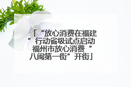 “放心消费在福建”行动省级试点启动 福州市放心消费“八闽第一街”开街