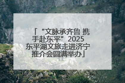 “文脉承齐鲁 携手赴东平”2025东平湖文旅走进济宁推介会圆满举办