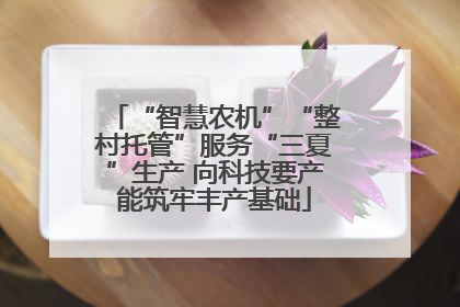 “智慧农机”“整村托管”服务“三夏”生产 向科技要产能筑牢丰产基础