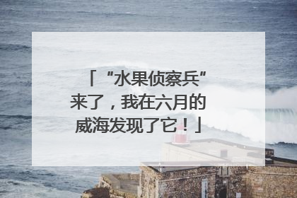 “水果侦察兵”来了，我在六月的威海发现了它！