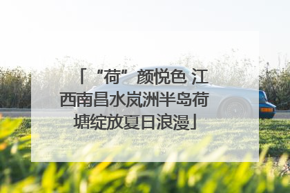 “荷”颜悦色 江西南昌水岚洲半岛荷塘绽放夏日浪漫