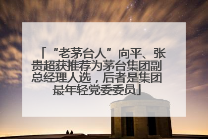 “老茅台人”向平、张贵超获推荐为茅台集团副总经理人选，后者是集团最年轻党委委员