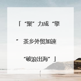 “聚”力成“擎” 茶乡外贸加速“破浪出海”