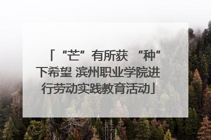 “芒”有所获 “种”下希望 滨州职业学院进行劳动实践教育活动