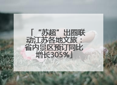 “苏超”出圈联动江苏各地文旅：省内景区预订同比增长305%