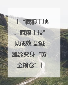 “藏粮于地、藏粮于技”见成效 盐碱滩涂变身“黄金粮仓”