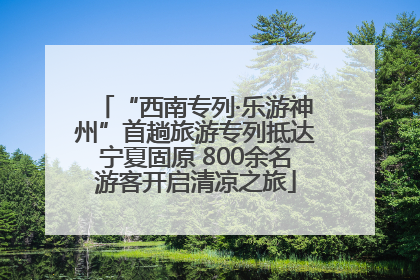 “西南专列·乐游神州”首趟旅游专列抵达宁夏固原 800余名游客开启清凉之旅