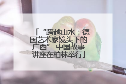 “跨越山水：德国艺术家镜头下的广西” 中国故事讲座在柏林举行