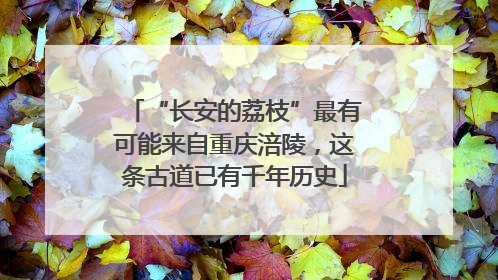 “长安的荔枝”最有可能来自重庆涪陵，这条古道已有千年历史