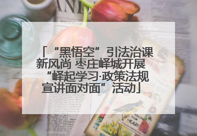 “黑悟空”引法治课新风尚 枣庄峄城开展“峄起学习·政策法规宣讲面对面”活动