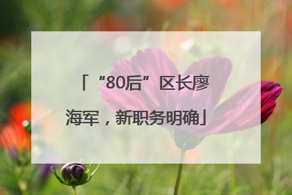 “80后”区长廖海军，新职务明确