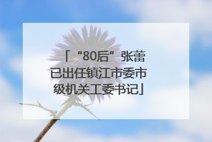 “80后”张蕾已出任镇江市委市级机关工委书记